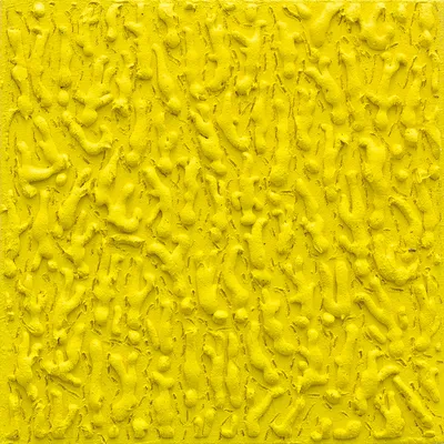 Unruly Ants（Yellow）2012